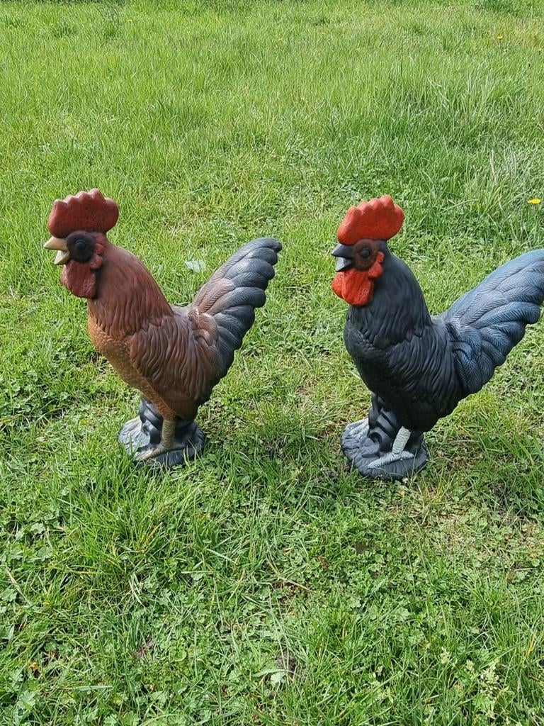 Prachtige Hanen, Haan, Haantjes Tuinbeelden, Tuin en Terras, Tuinbeelden, Ophalen of Verzenden, Nieuw, Steen, Dierenbeeld