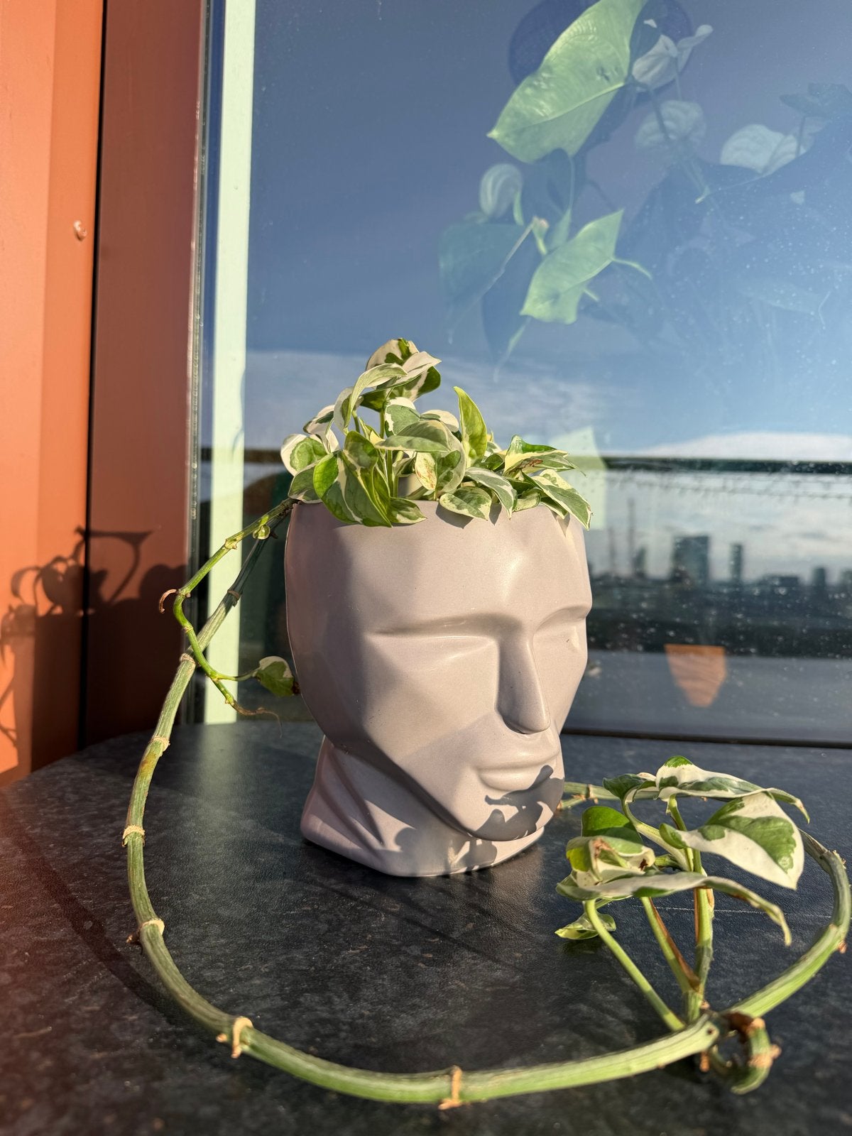 Grijze luxe plantenbak met hangplant, Ophalen, Gebruikt, Inclusief decoratie, Grijs