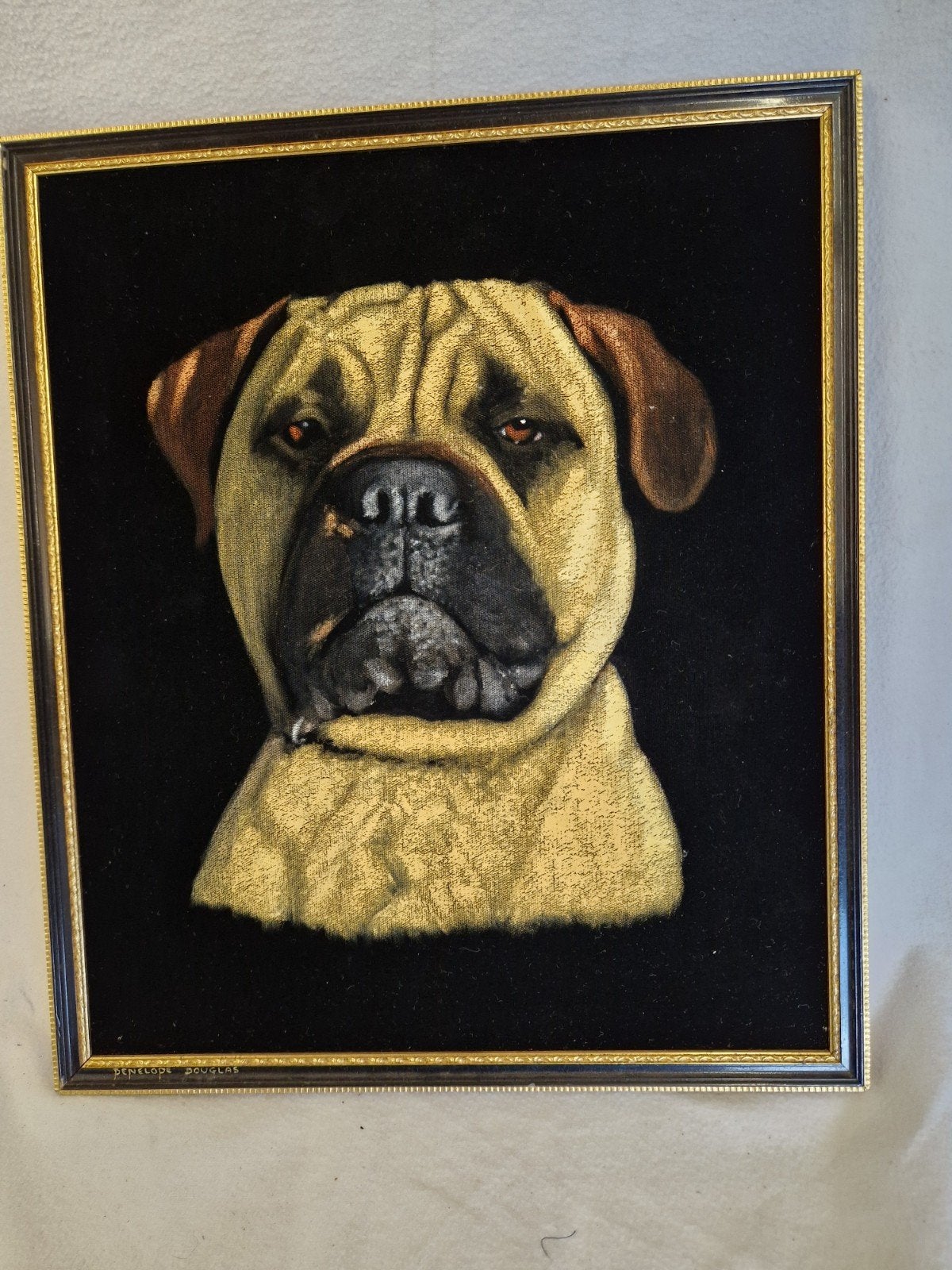 Bullmastiff schilderij op zwart fluweel - Penelope Douglas, Antiek en Kunst, Realistisch, Overige ondergronden, Dieren, Ophalen of Verzenden