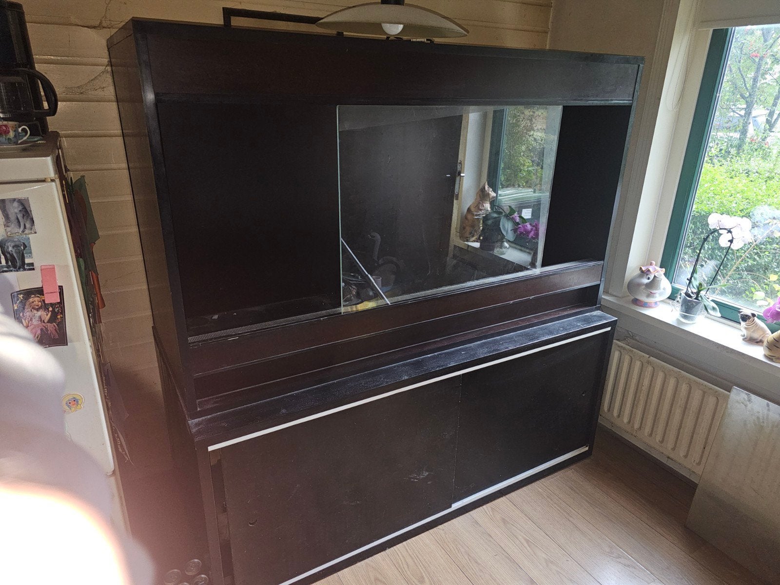 Groot betonplex terrarium ( 100/170/70 ) met steigerhouten k, Dieren en Toebehoren, Reptielen en Amfibieën | Toebehoren, Ophalen