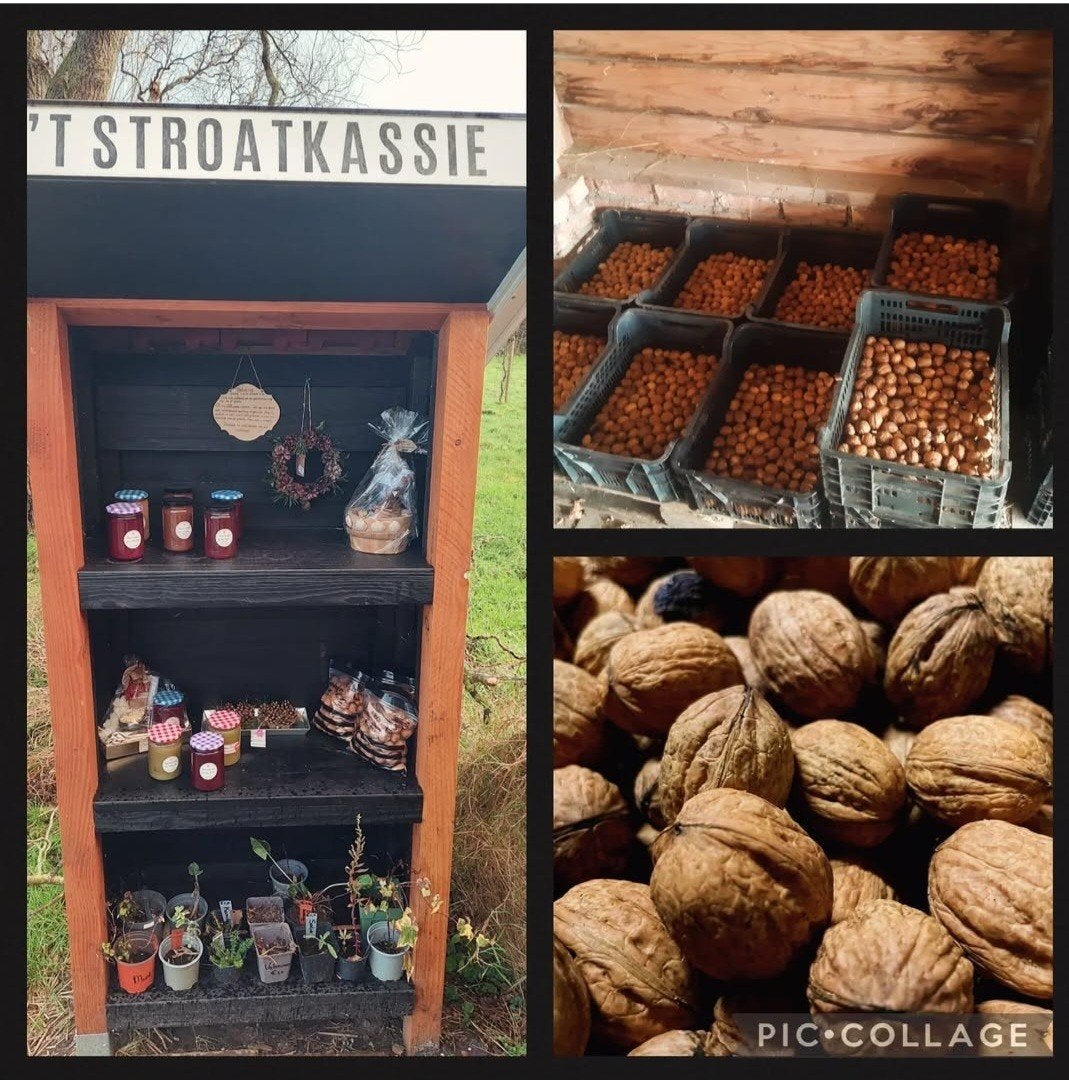 Biologische walnoten, Diversen, Ophalen of Verzenden