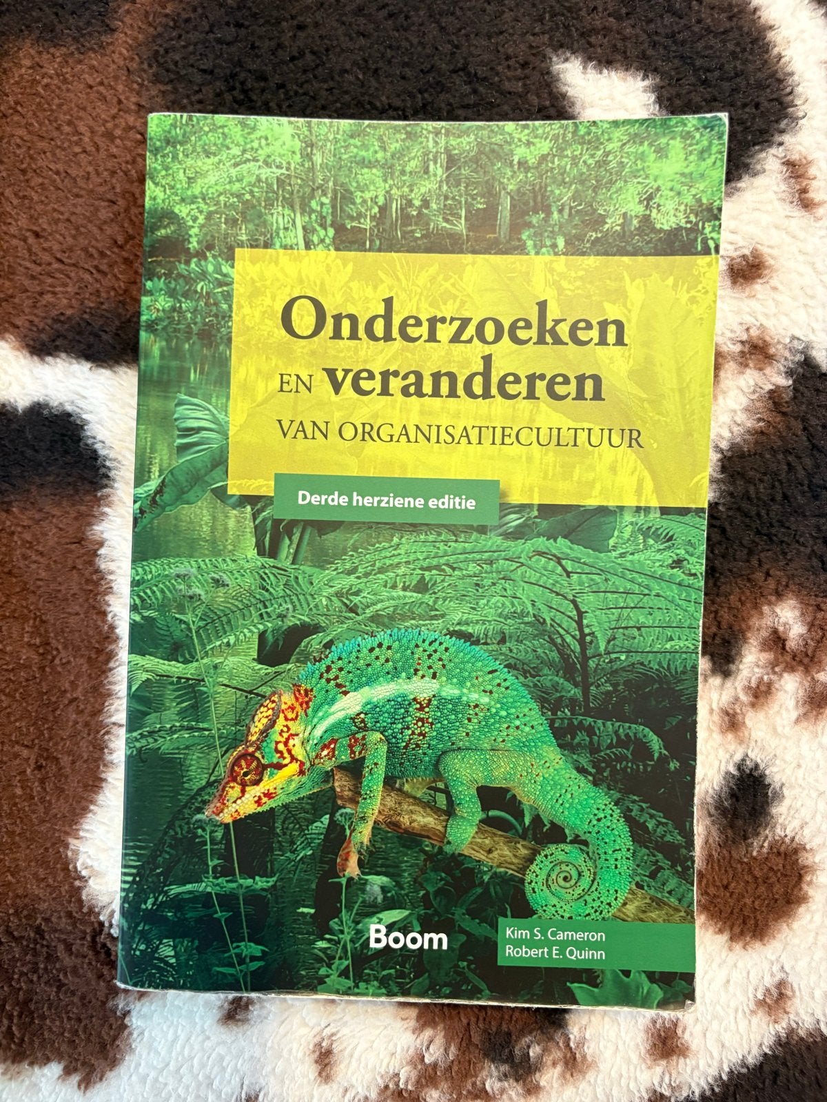 Onderzoeken en veranderen van organisatiecultuur, Ophalen of Verzenden, Gamma, Zo goed als nieuw, HBO