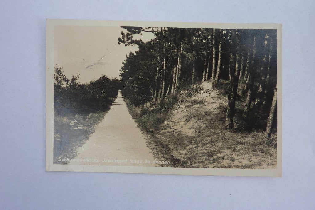 Schiermonnikoog Jacobspad langs de dennen jaren '50, Verzamelen, Ophalen of Verzenden, 1940 tot 1960, Gelopen, Waddeneilanden
