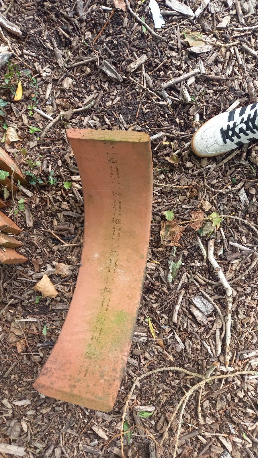riet vorsten, Doe-het-zelf en Verbouw, Ophalen, Gebruikt, Steen of Klei, 15 m² of meer