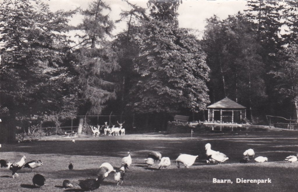 18895 Baarn Dierenpark ongelopen Uitg NV v h Weenenk en snel, Verzenden, 1960 tot 1980, Ongelopen, Utrecht