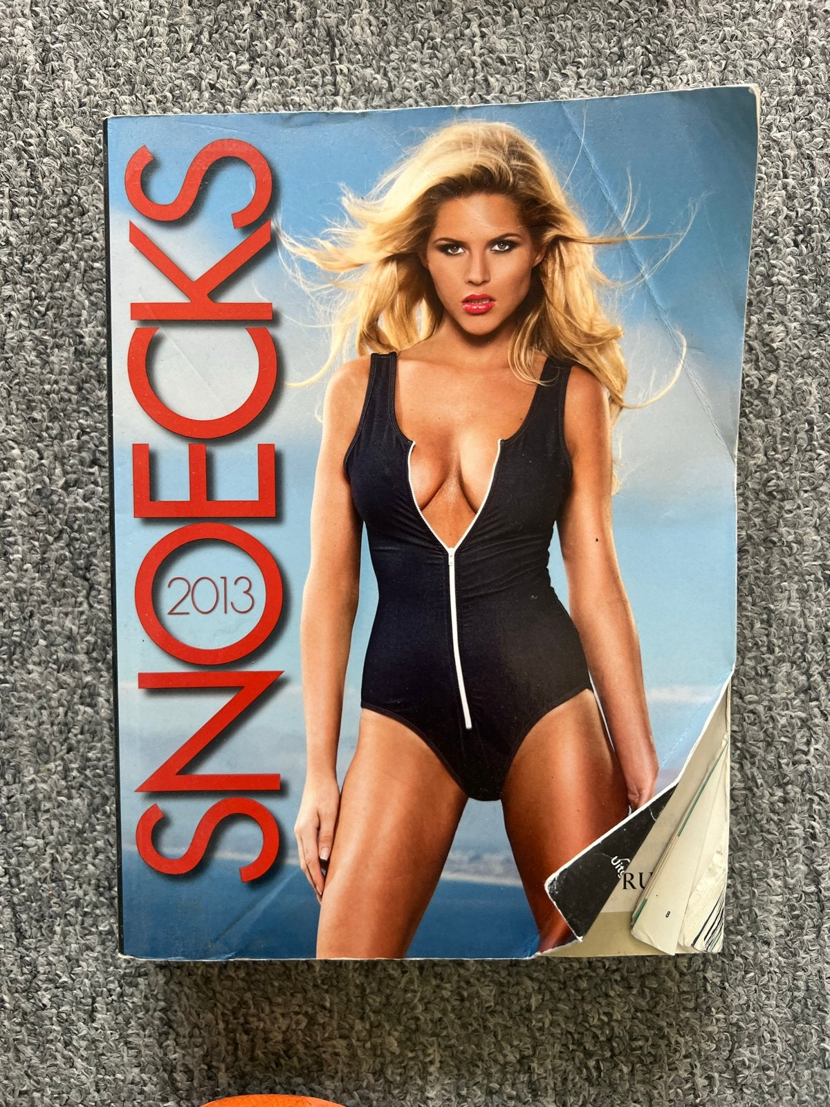 Snoecks 2013 - Jaarboek voor kunst, cultuur en erotiek, Ophalen of Verzenden, Zo goed als nieuw, Overige typen