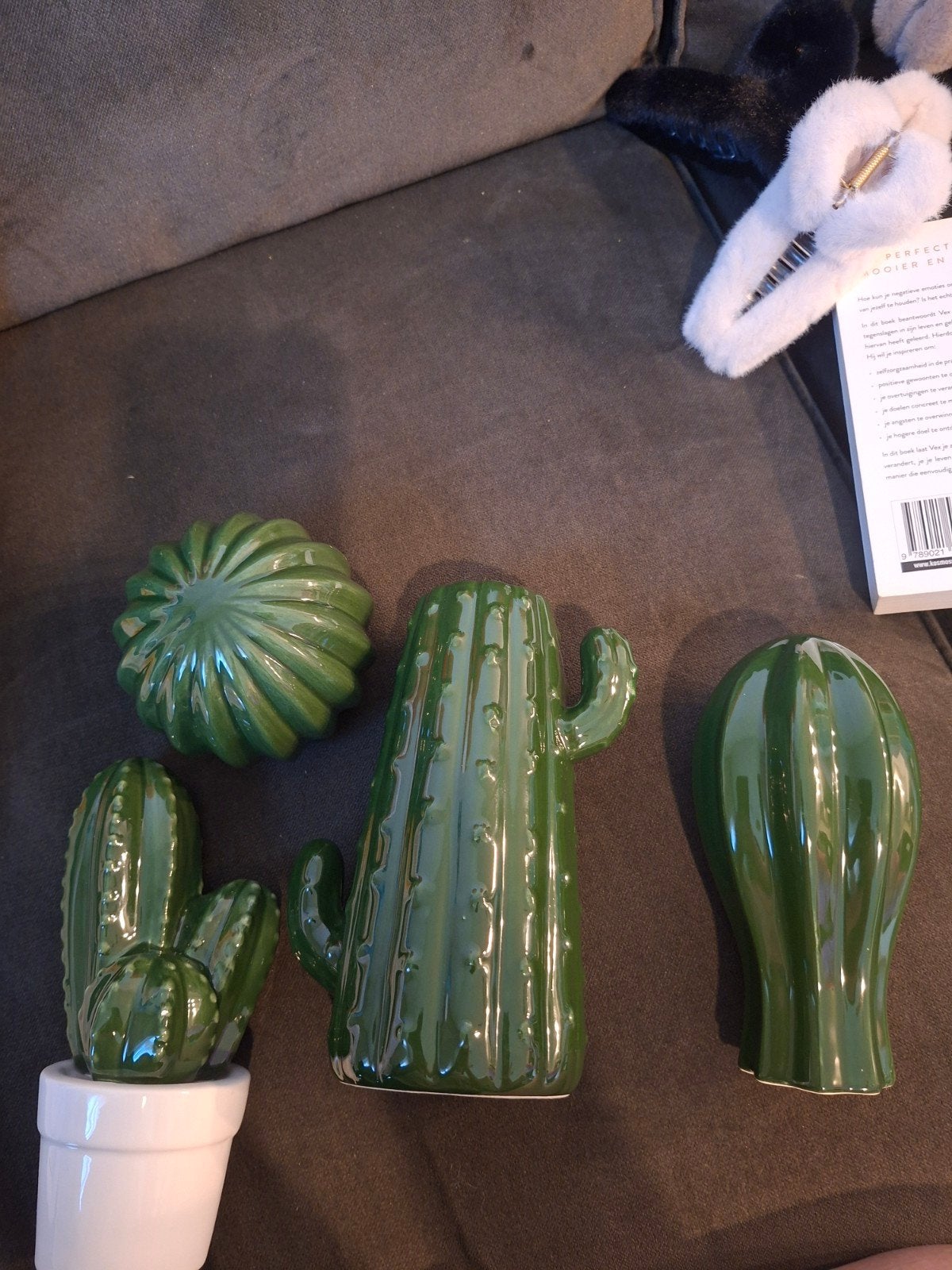 Decoratieve cactusjes - set van 4, Ophalen, Groen, Zo goed als nieuw, Modern