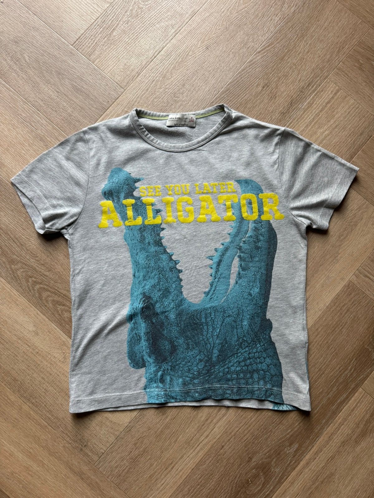 Zara boys t-shirt maat 122, Ophalen of Verzenden, Gebruikt, Jongen, Shirt of Longsleeve
