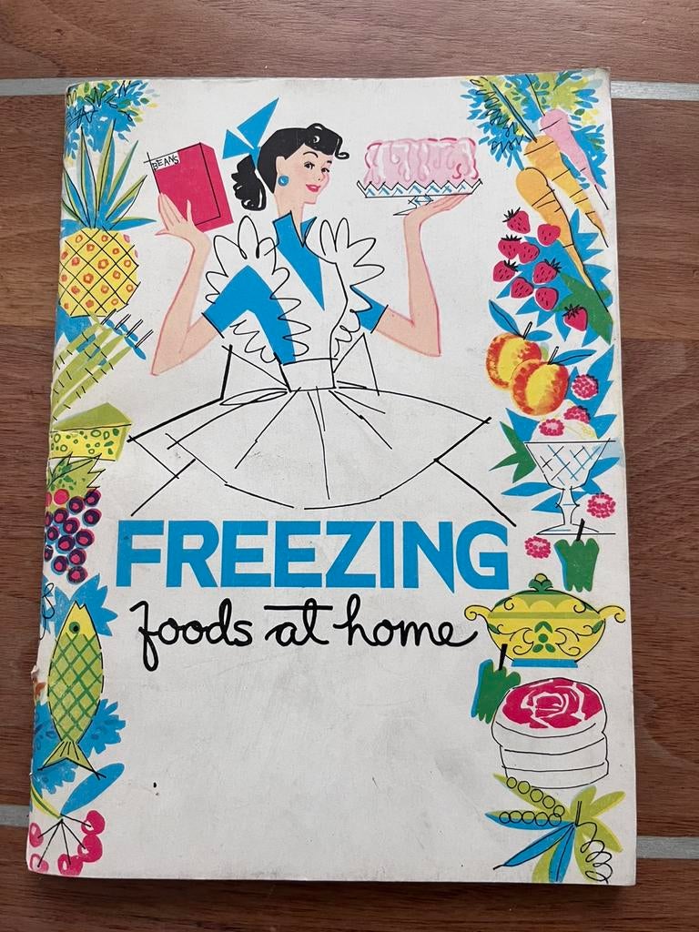 Freezing foods at home, Hobby en Vrije tijd, Tekenen, Ophalen of Verzenden, Gebruikt