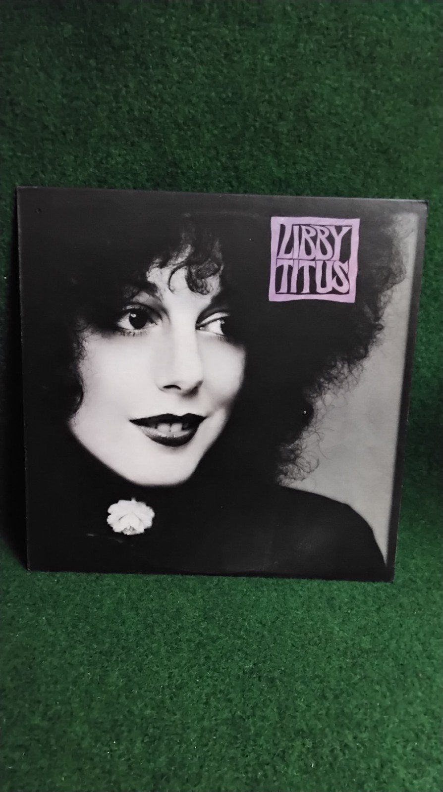 LIBBY  TITUS, Ophalen of Verzenden, Gebruikt, 12 inch