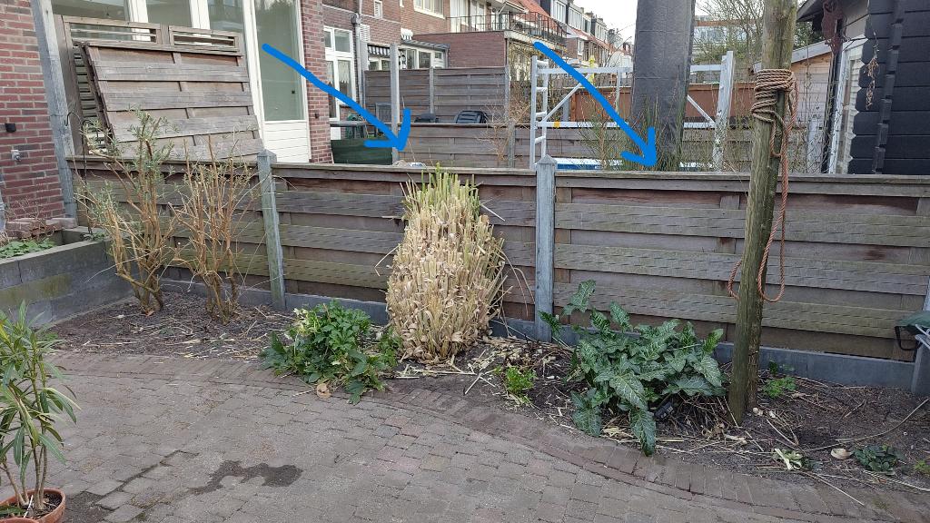 Lage tuinschutting (2 panelen & 3 palen), Tuin en Terras, Schuttingen, Ophalen, Gebruikt, Hout, 3 tot 6 meter