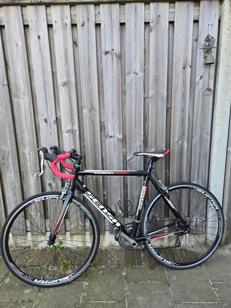 Sensa Umbria Racefiets - Maat 56, Ophalen