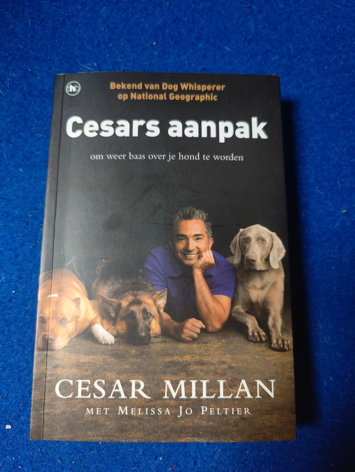 Cesar Millan - Cesars aanpak, Ophalen of Verzenden