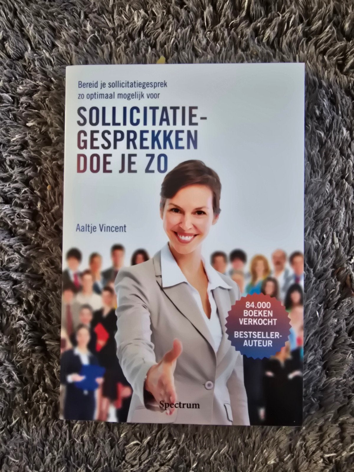 Sollicitatiegesprekken Doe Je Zo - Aaltje Vincent, Ophalen of Verzenden, Zo goed als nieuw, Aaltje Vincent