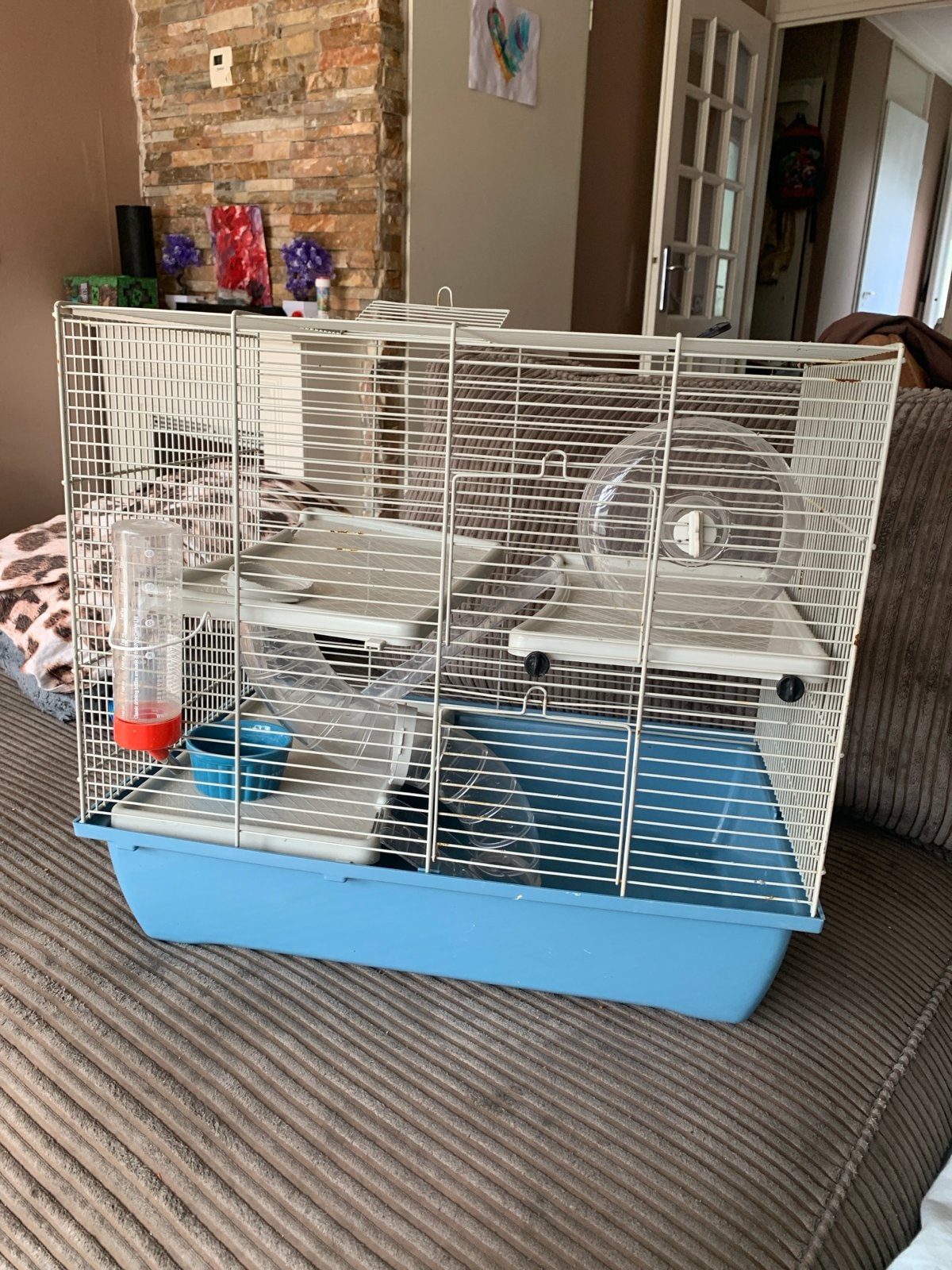 Complete hamster:knaagdieren kooi, Ophalen of Verzenden, Loopwiel of Rad