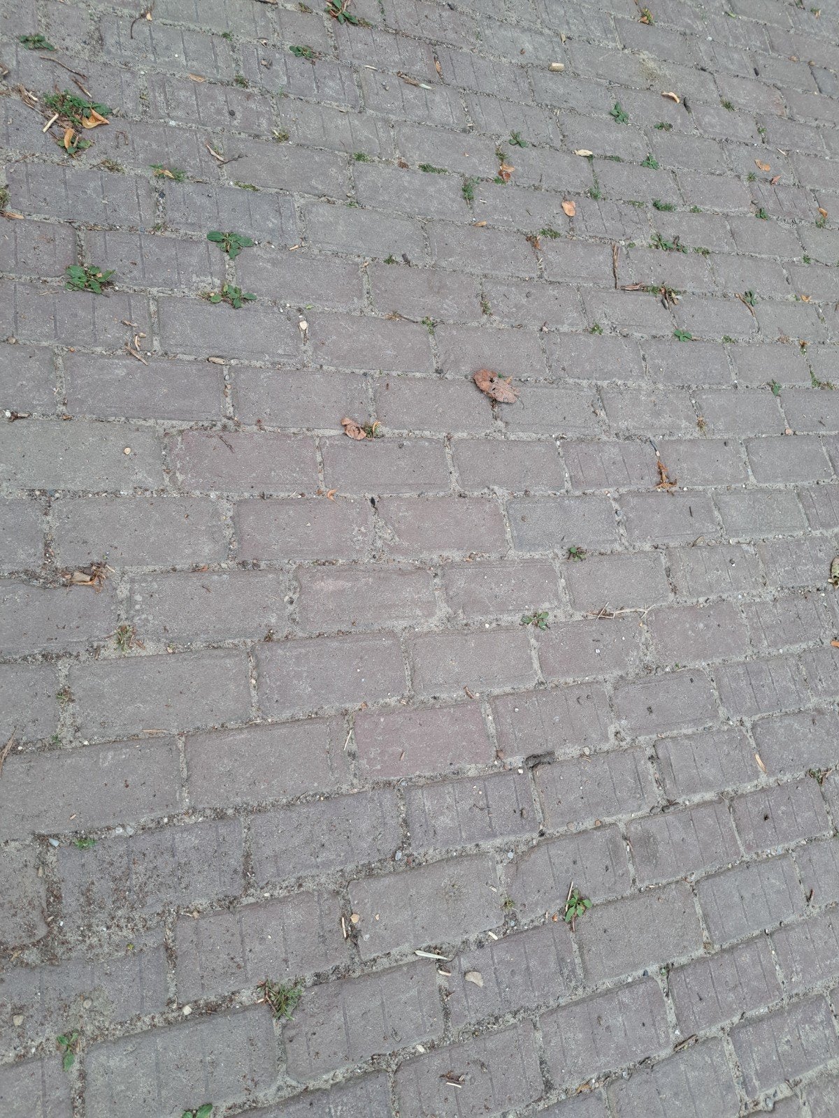 gebakken klinkers (keiformaat), Tuin en Terras, Ophalen of Verzenden, Gebruikt, Keramiek, Klinkers