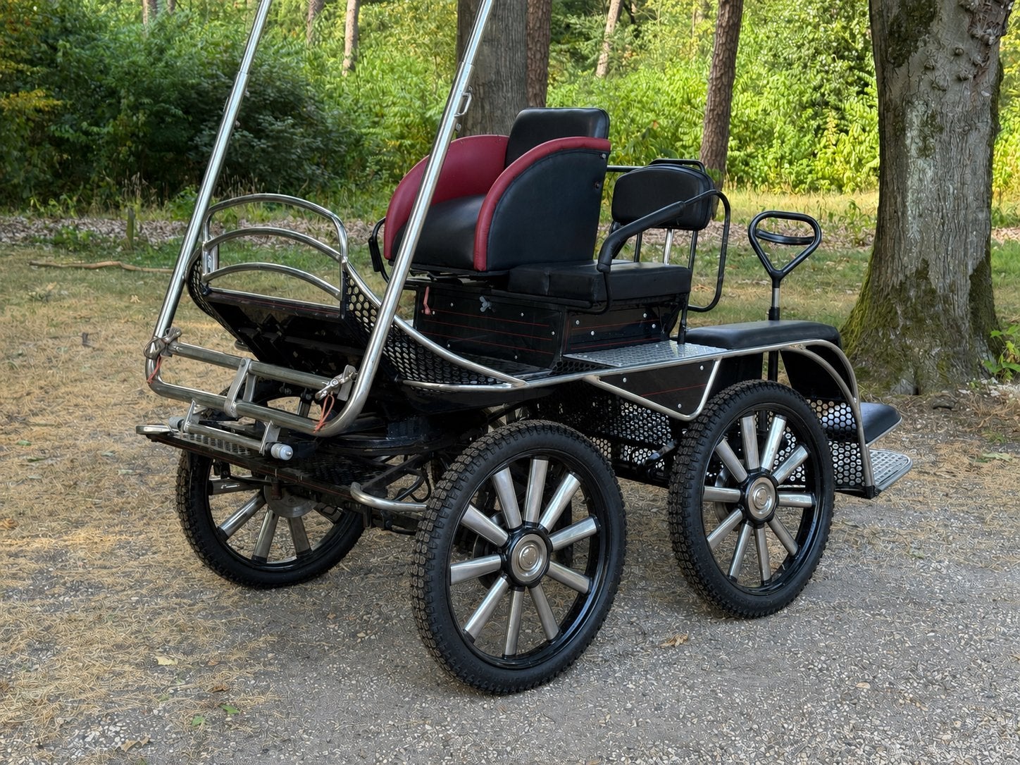 Marathonwagen 4-persoons – enkel- & dubbelspan – incl. tuig, Dieren en Toebehoren, Rijtuigen en Koetsen, Gebruikt, Marathonwagen