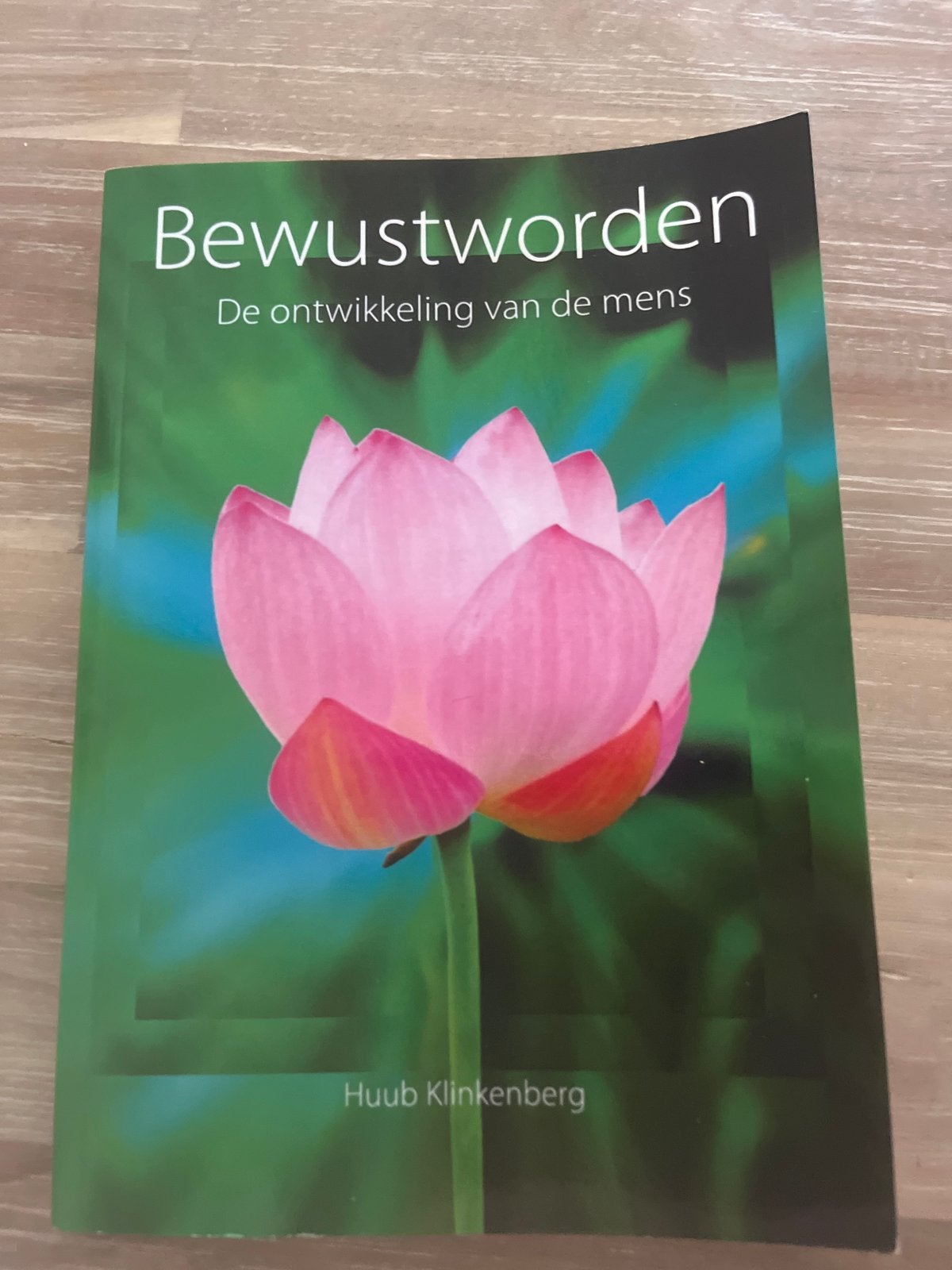 Bewustworden: De ontwikkeling van de mens - Huub Klinkenberg, Boeken, Ophalen of Verzenden, Zo goed als nieuw, Spiritualiteit algemeen
