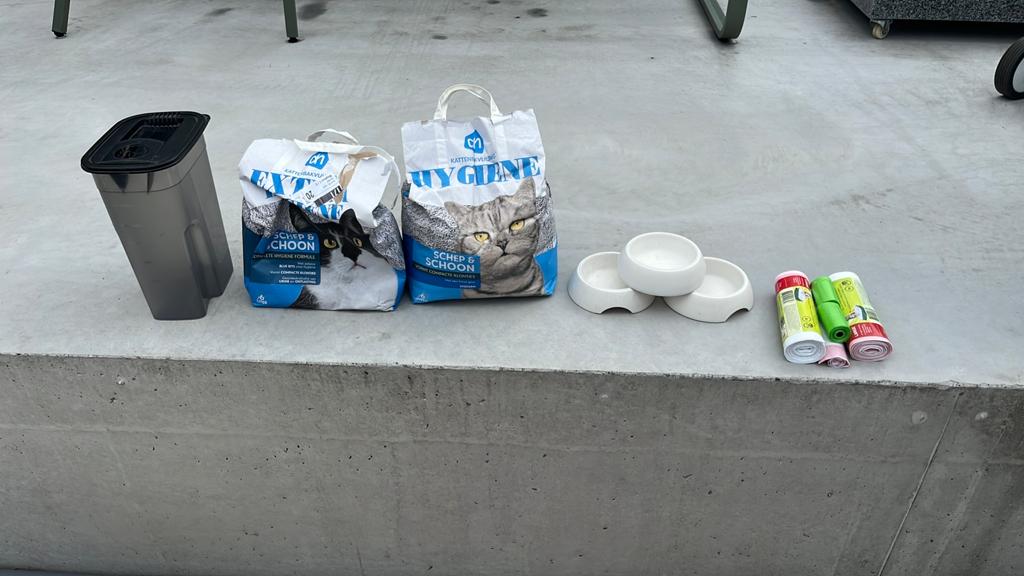 Spullen voor katten, Ophalen, Gebruikt