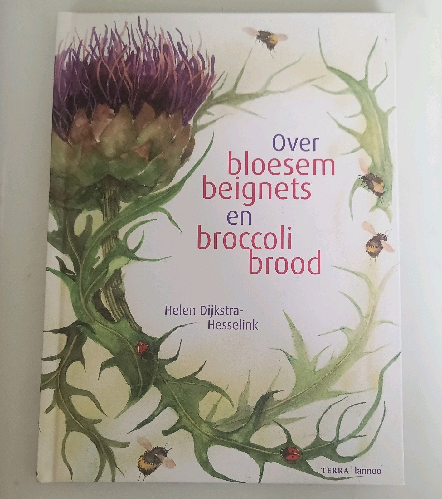H. Dijkstra - Over bloesembeignets & broccolibrood, Ophalen of Verzenden, Zo goed als nieuw, H. Dijkstra