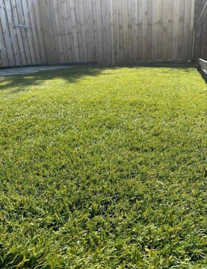 Topkwalkteit kunstgras 3 x 4 m (12m2), Tuin en Terras, Ophalen, Zo goed als nieuw, 10 tot 20 m²