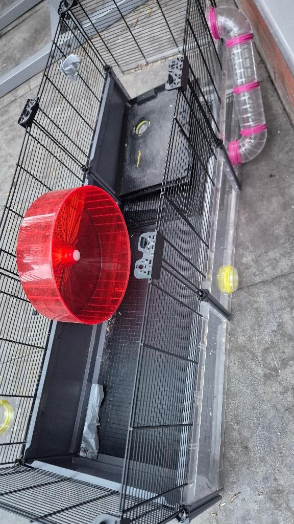 Hamsterkooi groot, Kooi, Gebruikt, Minder dan 75 cm, Ophalen