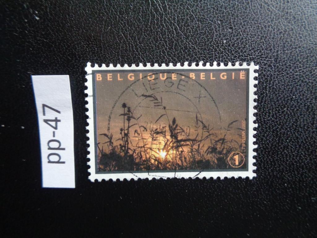 belgie - rouw zegel 2007 (pp-47), Ophalen of Verzenden, Gestempeld