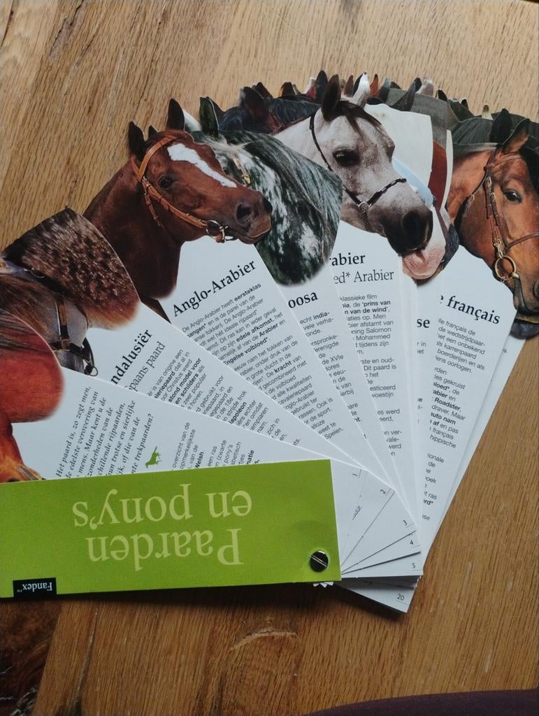 Paarden en pony's Fandex - Informatiekaarten, Ophalen of Verzenden, Zo goed als nieuw, Overige onderwerpen, Onbekend