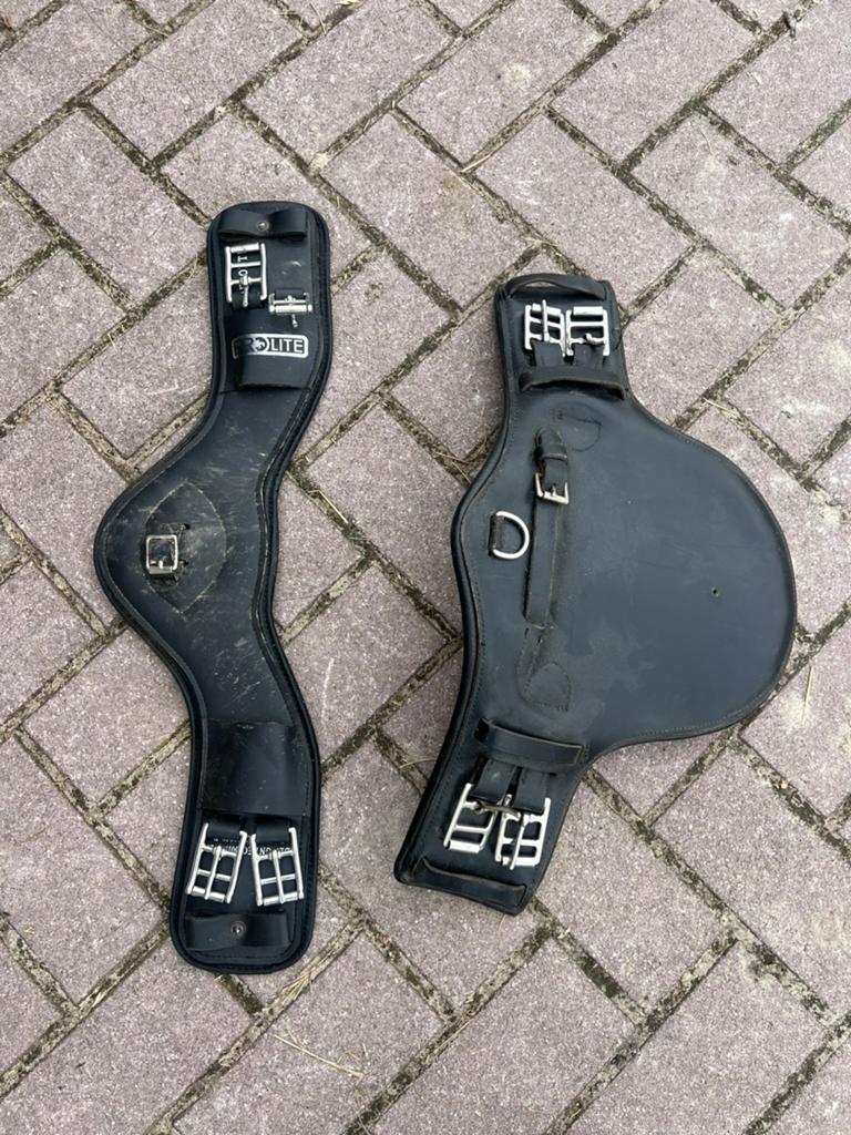 Twee singels te koop, Dieren en Toebehoren, Ophalen of Verzenden, Zo goed als nieuw, Dressuur