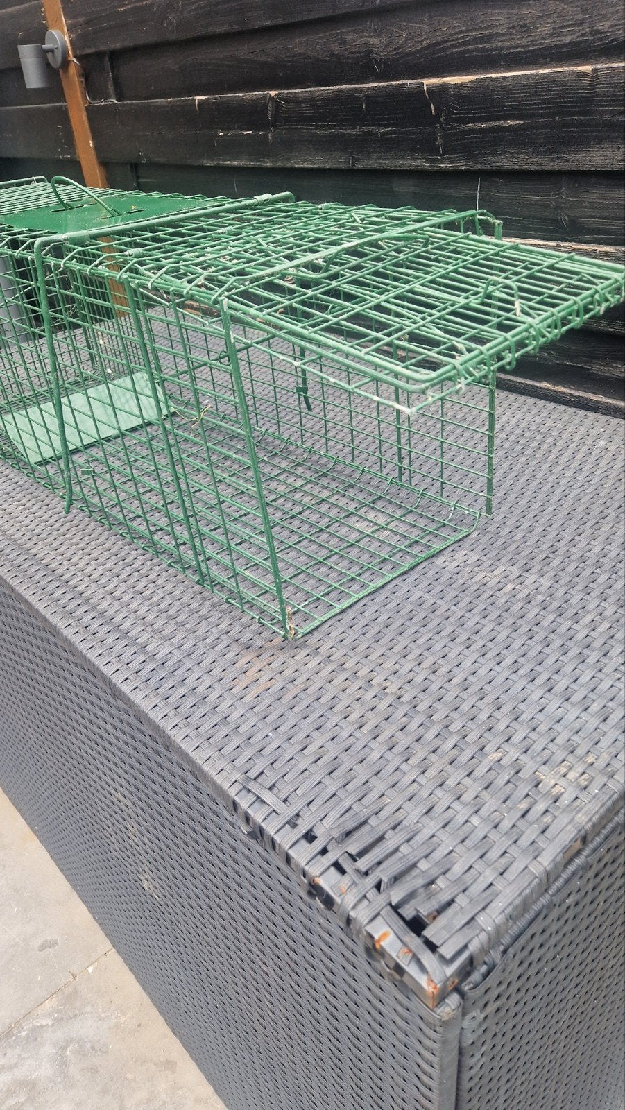 Katten / Marters / Ratten  Vang Kooi, Dieren en Toebehoren, Ophalen, Kooi, Nieuw, 90 cm of meer