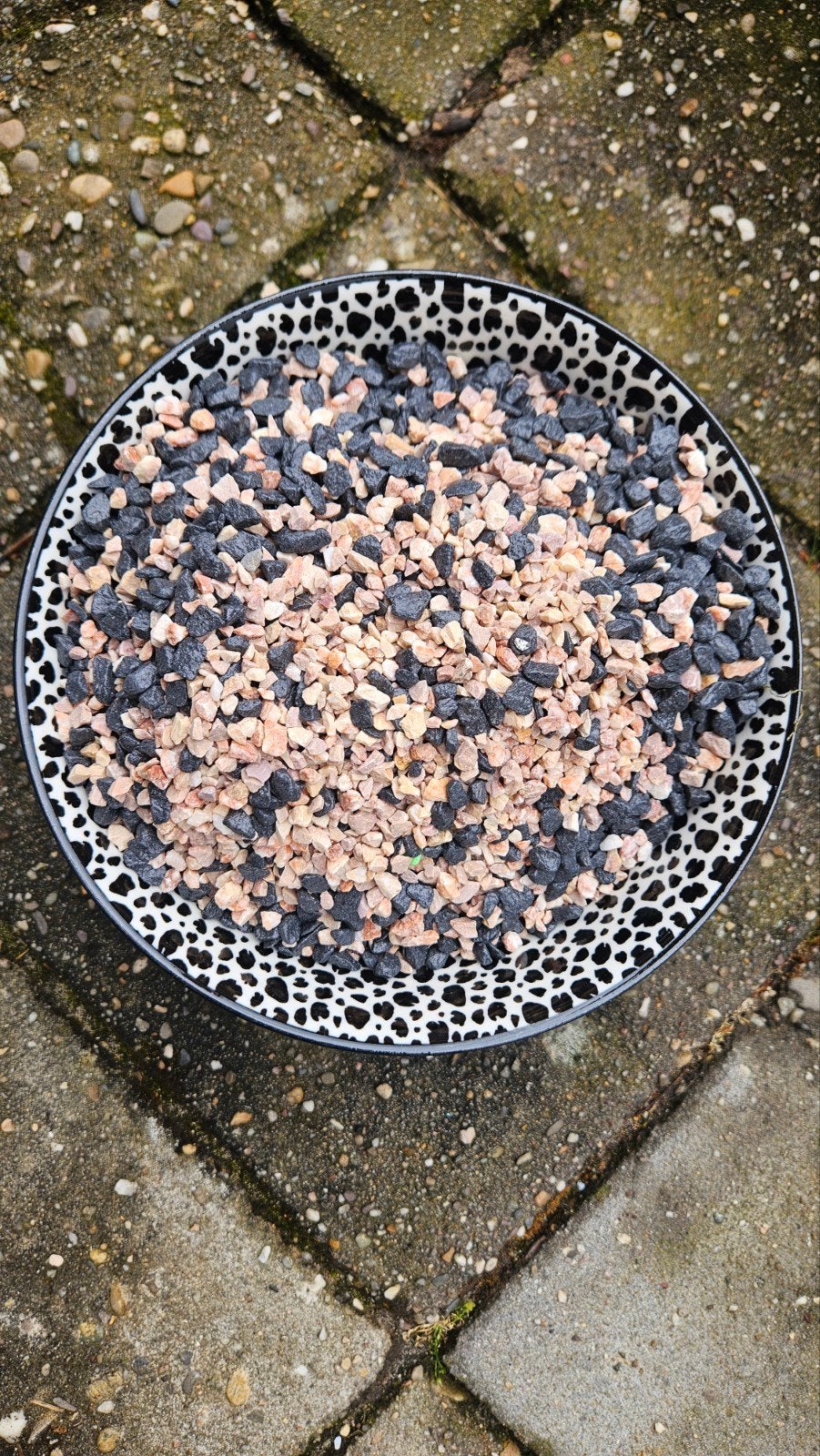 Vissenkom steentjes, Dieren en Toebehoren, Ophalen of Verzenden, Zo goed als nieuw, Leeg aquarium