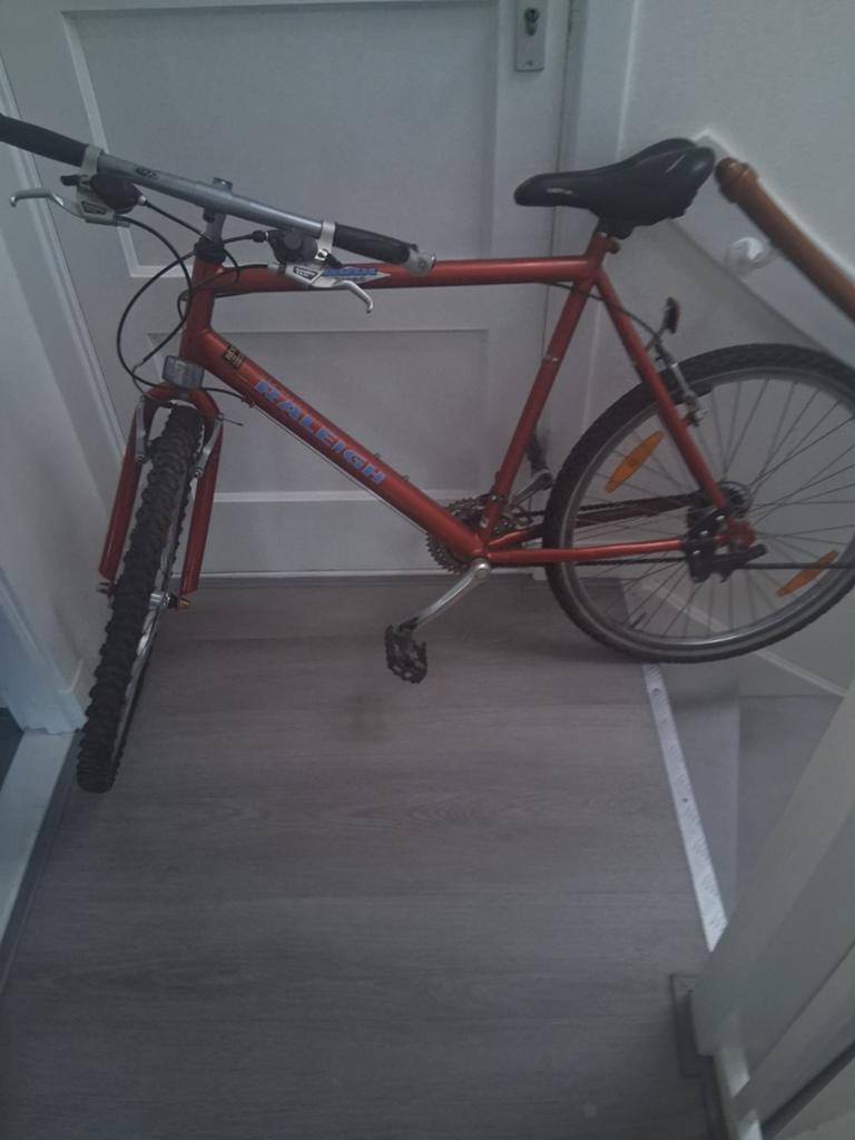 Raleigh Mountainbike - Goede staat, Overige merken, Gebruikt, Velgrem, Versnellingen