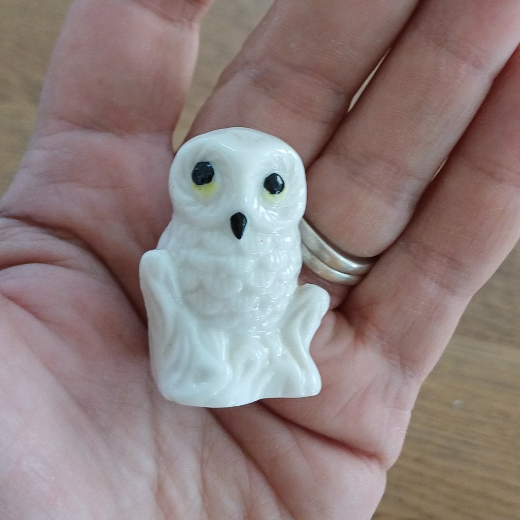 Wit miniatuur uiltje, Ophalen of Verzenden, Gebruikt, Dier