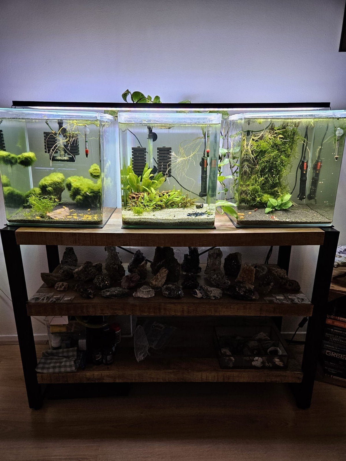 Aquarium 3x 50 L, Ophalen, Leeg aquarium