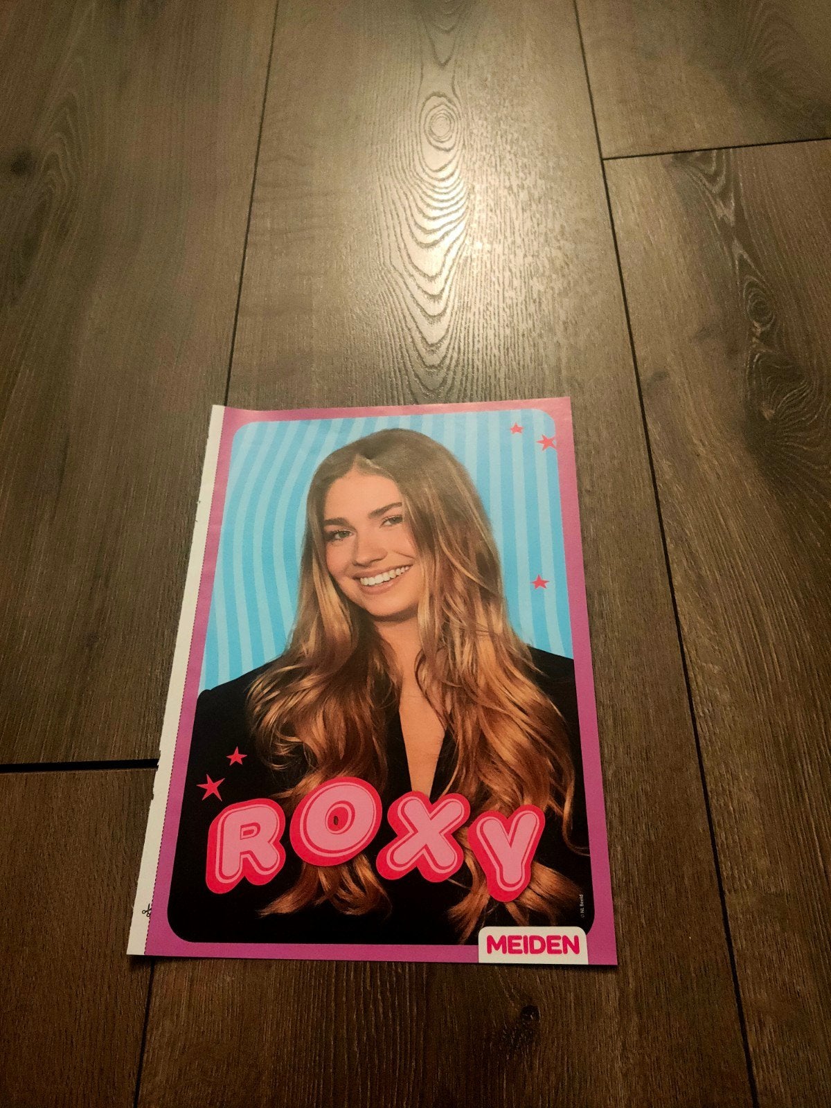 Meiden - Roxy Dekker Poster, Ophalen of Verzenden, Nieuw, A1 t/m A3