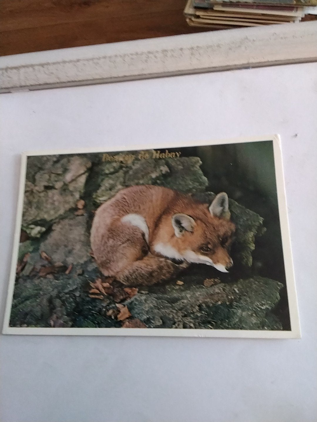 Oude postkaart met vos uit Habay, Gelopen, Verzamelen, Ophalen of Verzenden