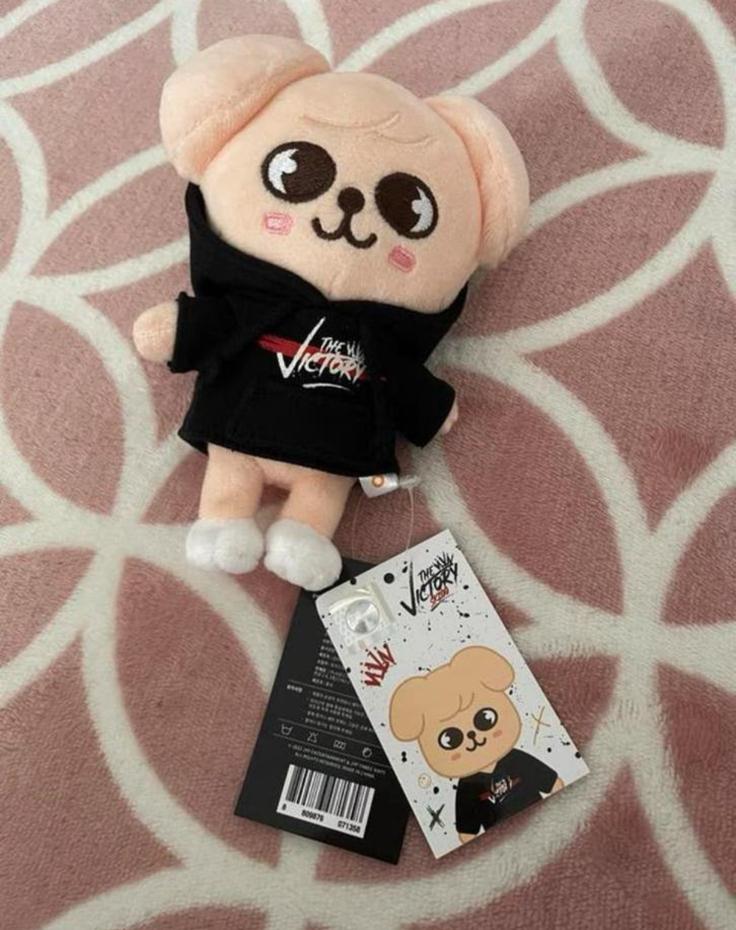 Stray Kids SKZOO PuppyM mini plush, Ophalen of Verzenden, Nieuw, Overige typen