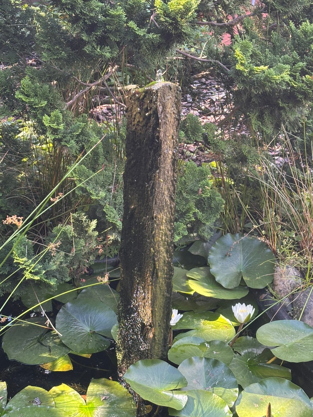 Vijver ornement, Tuin en Terras, Ophalen, Zo goed als nieuw, Graniet, Waterornament