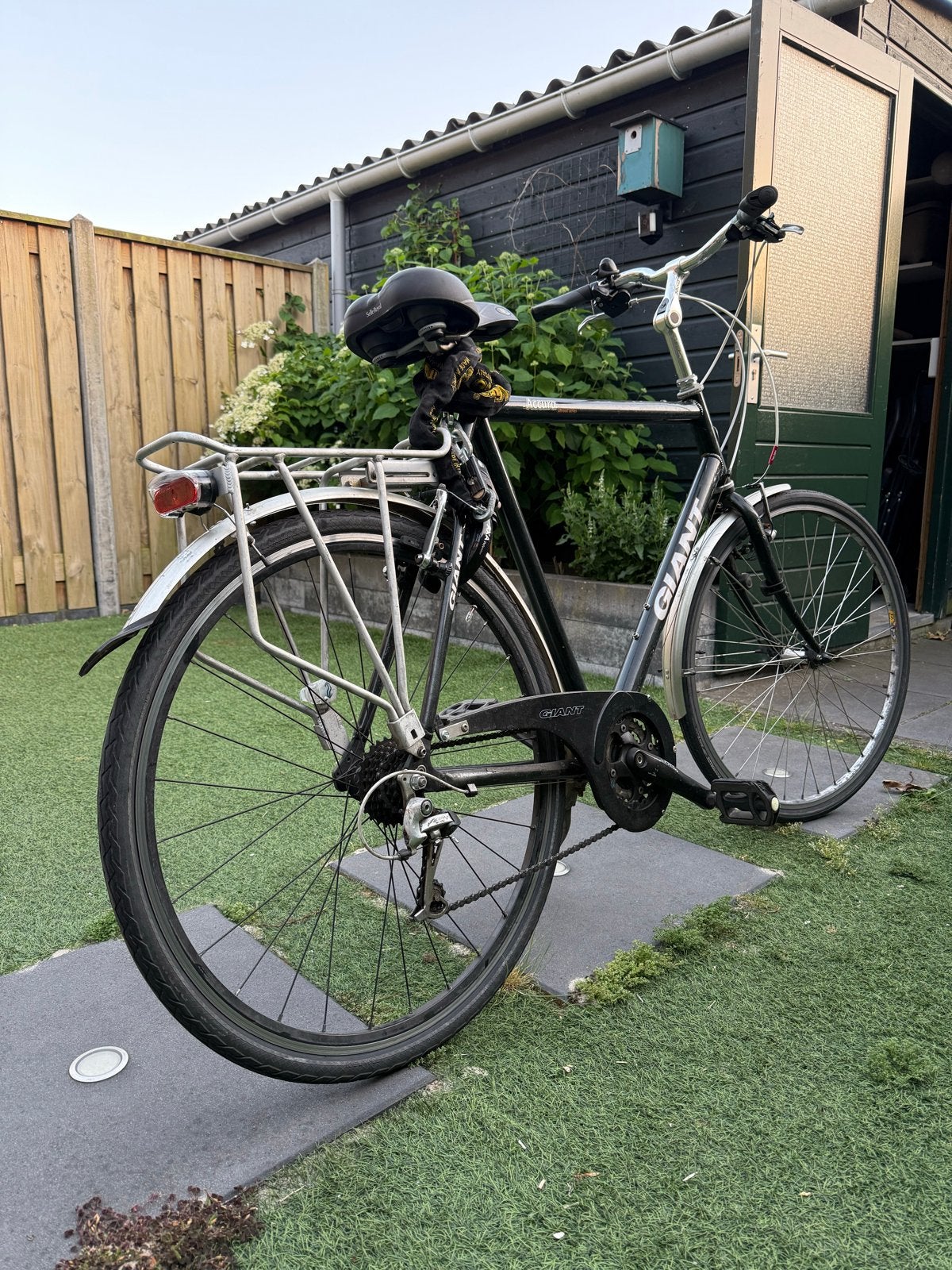 Giant Accura Racefiets - 64M, Aluminium, Shimano Alivio 3x7, Ophalen, Gebruikt, Velgrem, Giant