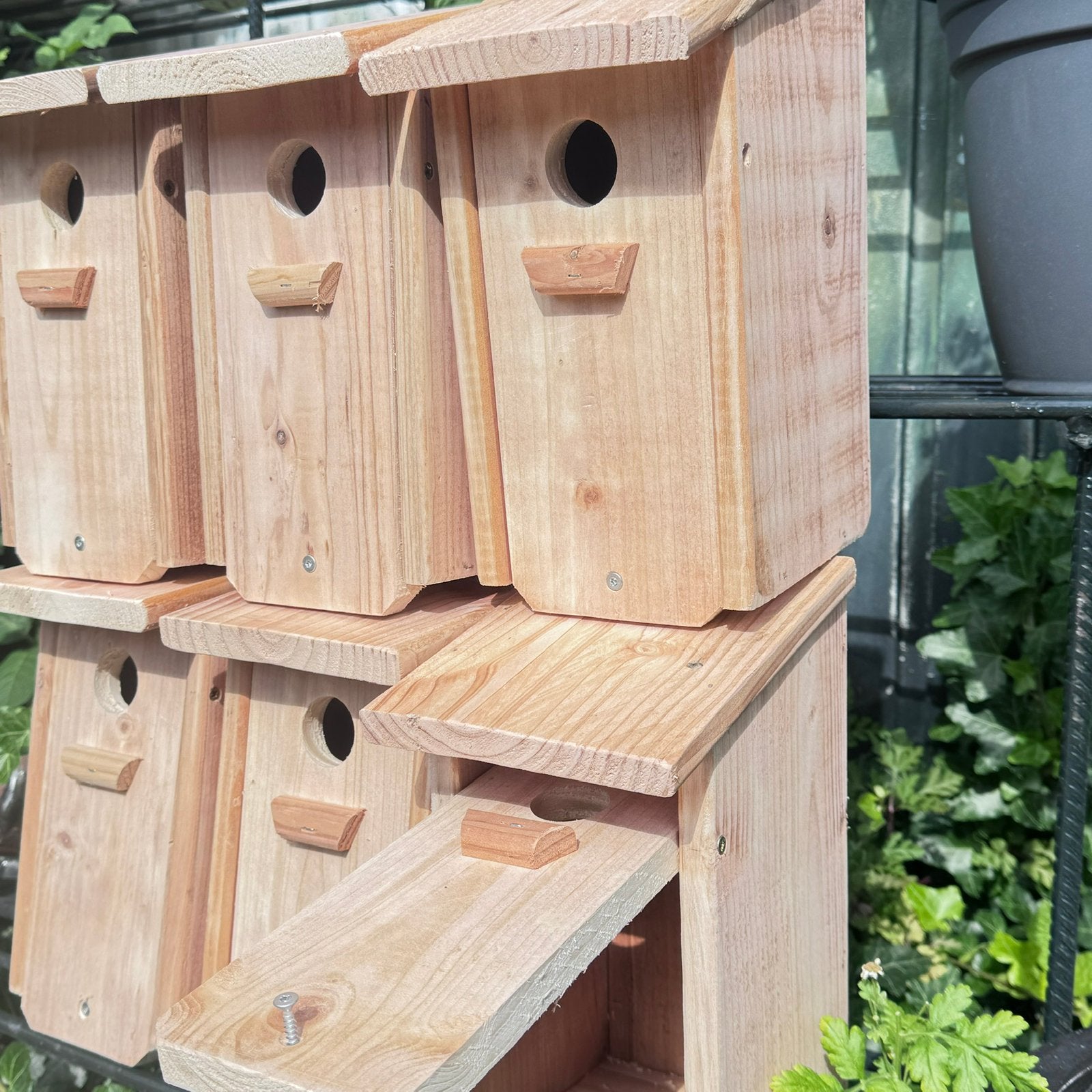Vogelnestkastjes, Ophalen of Verzenden, Nieuw