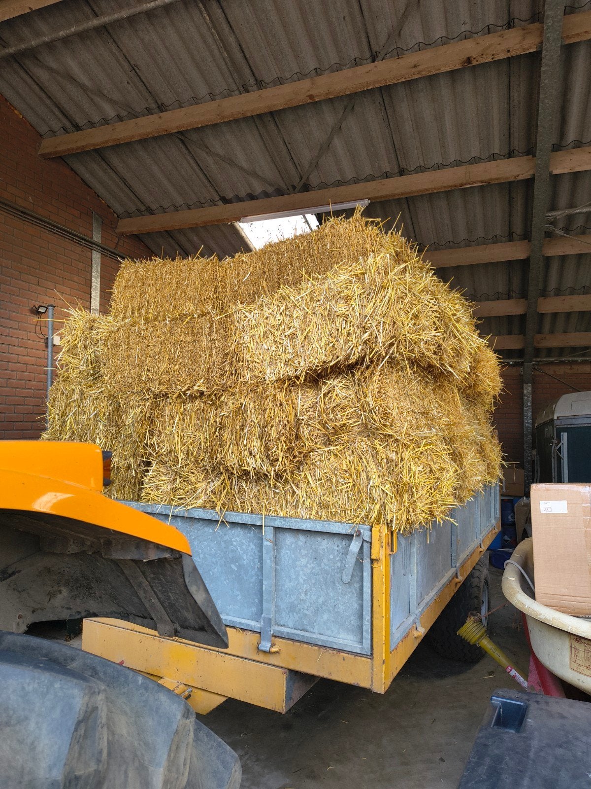 stro, tarwestro te koop, Dieren en Toebehoren, Dierenvoeding, Ophalen, Vee