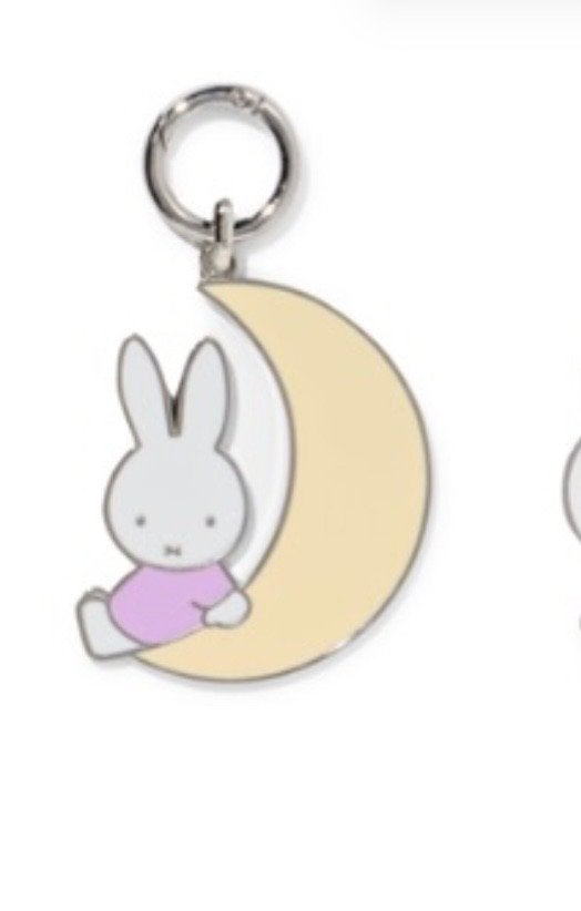 Gezocht !! Verborgen schatjes Nijntje op Maan, Verzamelen, Ophalen of Verzenden, Nieuw, Knuffel of Figuurtje