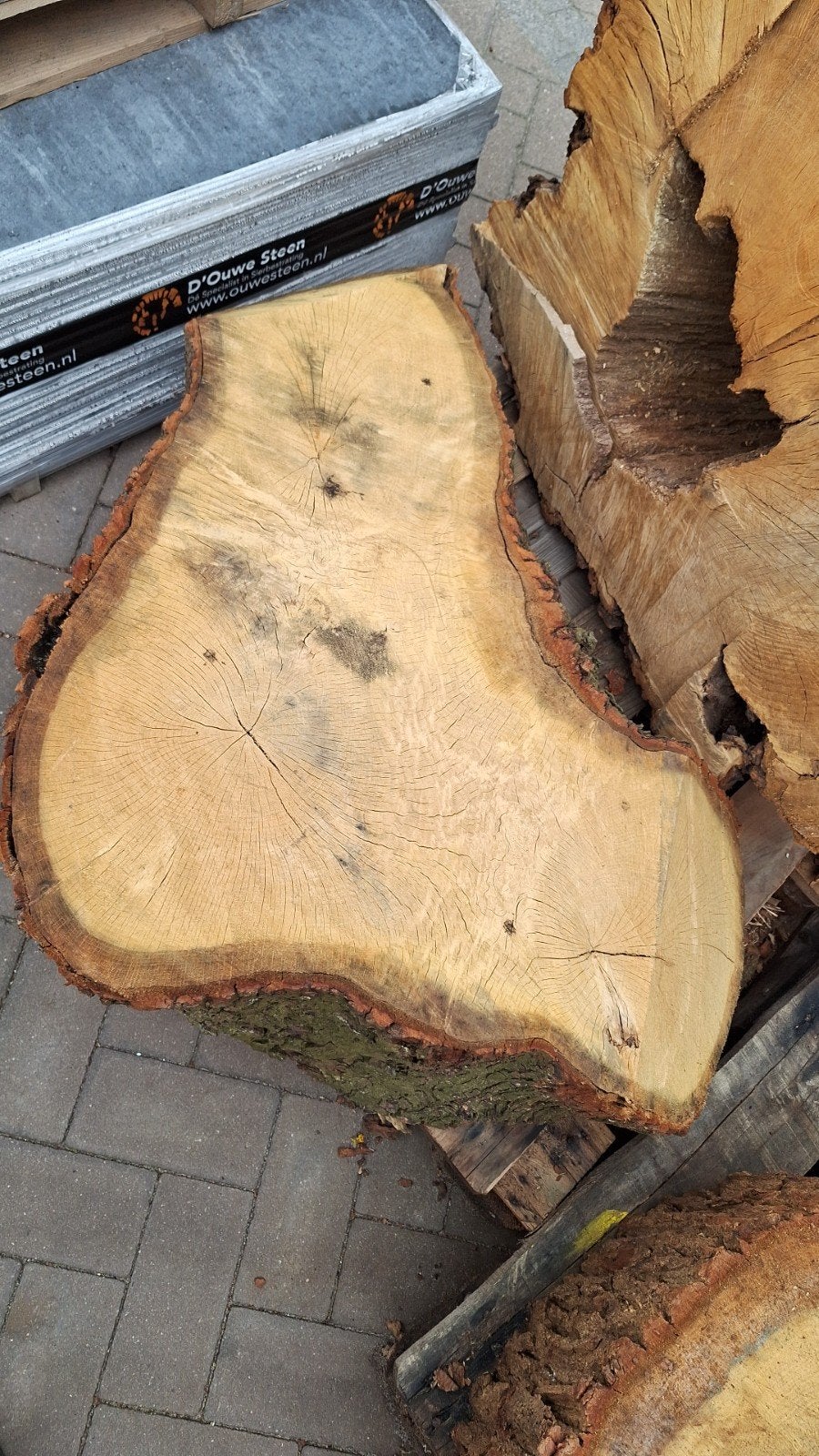 Mooie boomschijven van eikenhout, 4 soorten, Huis en Inrichting, Ophalen, 50 tot 100 cm, Eikenhout, Nieuw
