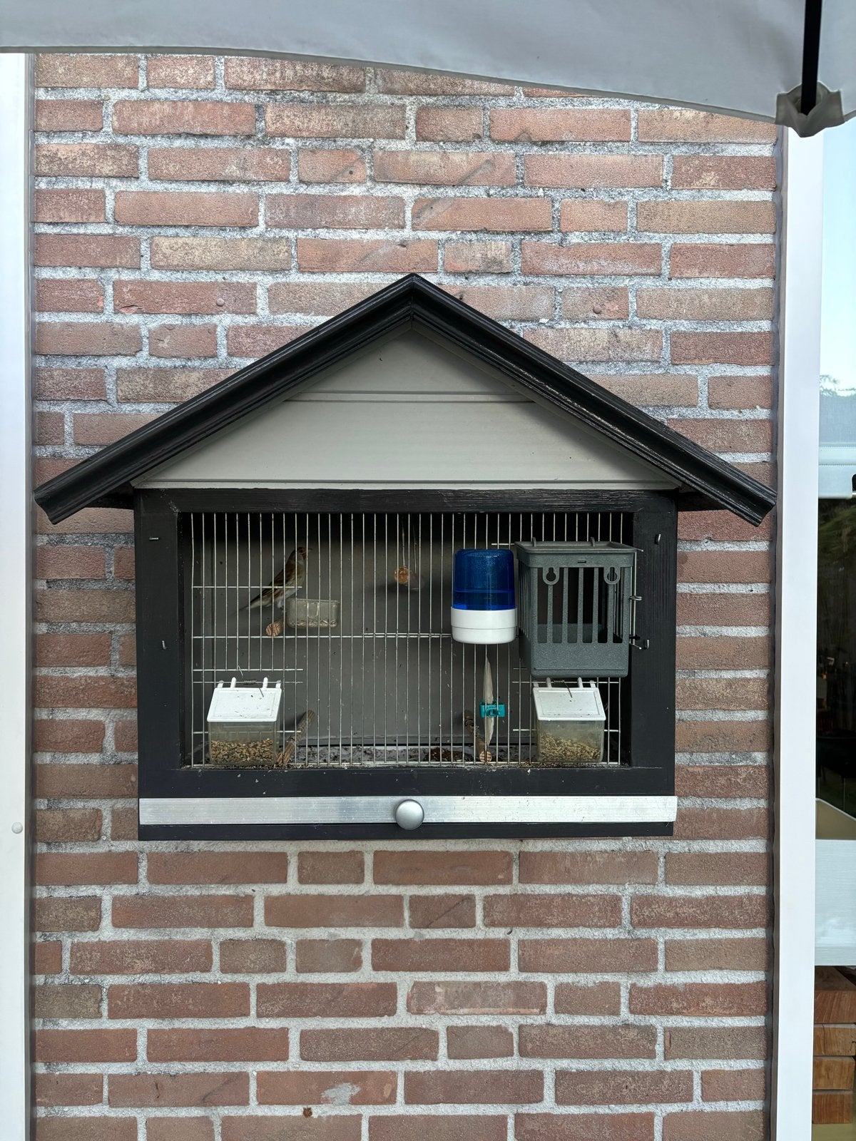 Mooie vogelkooi met bastaard kapoetse sijs., Ophalen, Zo goed als nieuw, Metaal, Vogelkooi