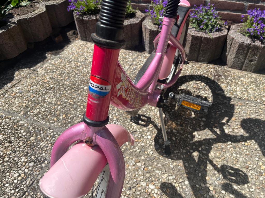 Roze kinderfiets Popal Smile 16 inch, Ophalen, Gebruikt, Terugtraprem, 16 tot 20 inch