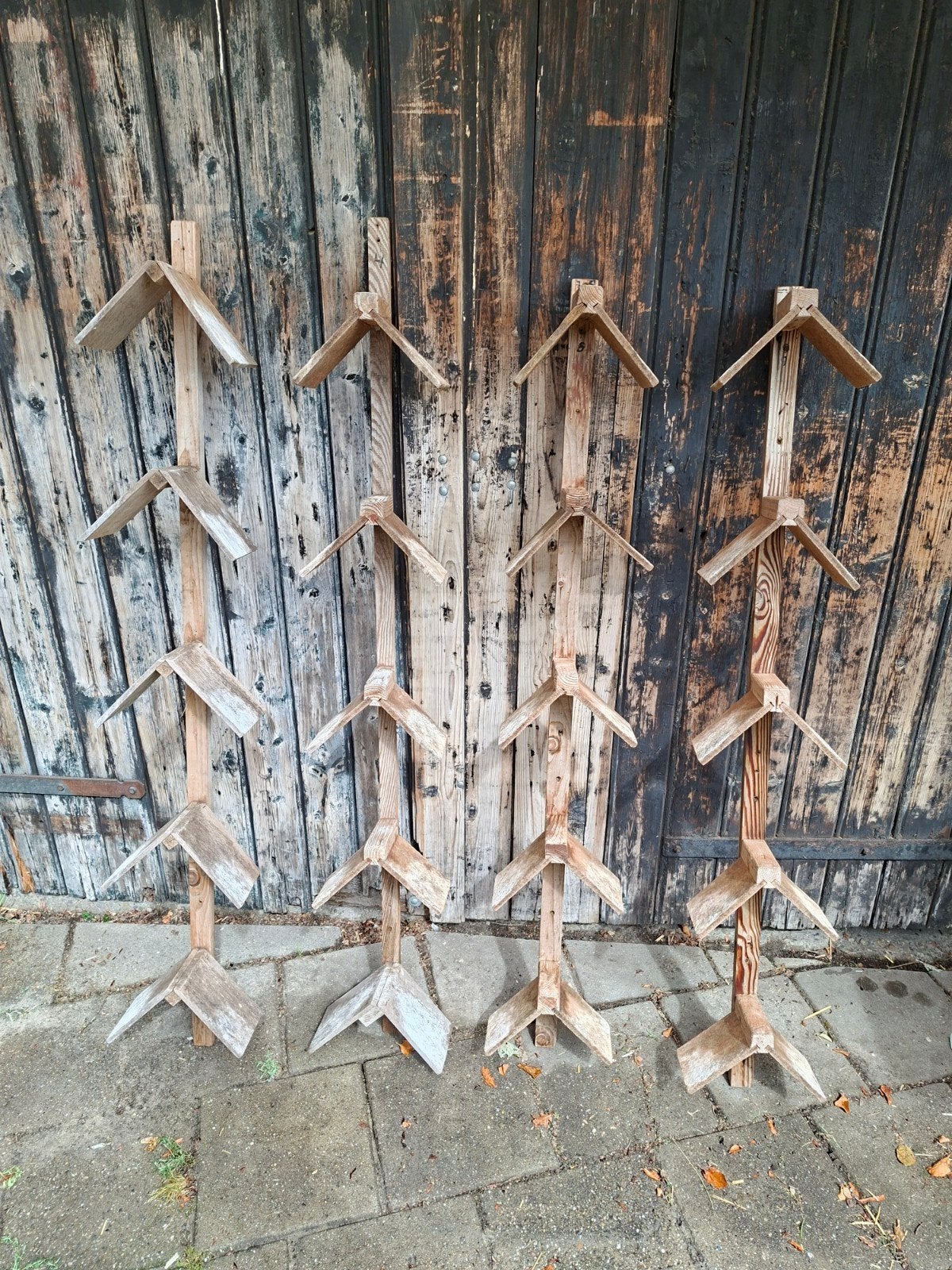 duivenzitschapjes, Meerdere dieren, Postduif