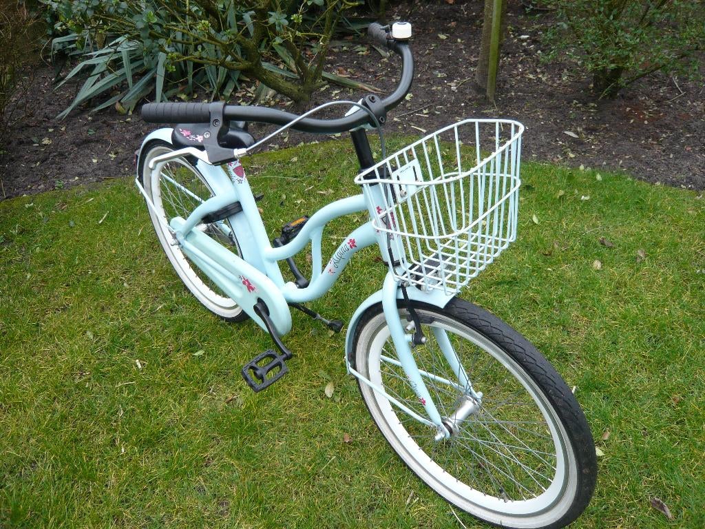 mooie alpina ocean met mandje 22 inch alu airliner velgen, Fietsen en Brommers, Fietsen | Meisjes, Ophalen, 22 inch, Alpina ocean