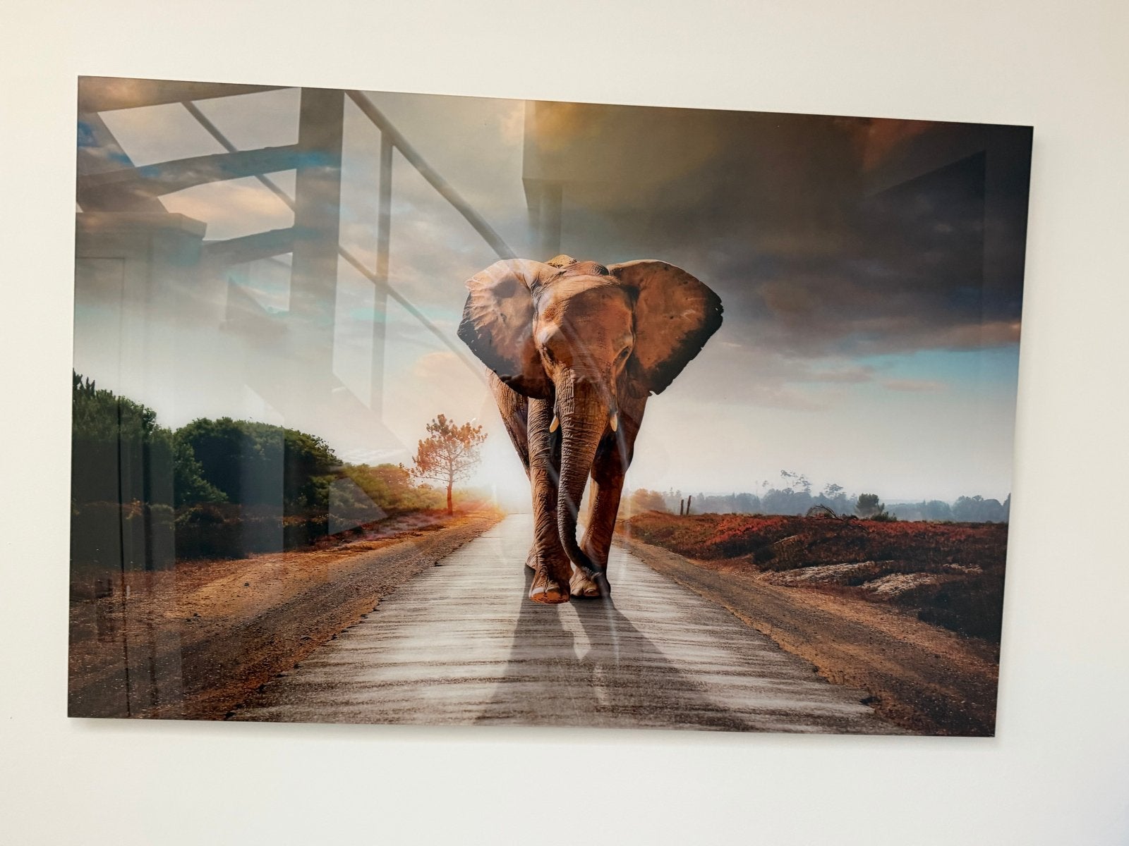 Prachtige wanddecoratie: Olifant op weg, Ophalen, 100 tot 125 cm, 75 – 100, Print