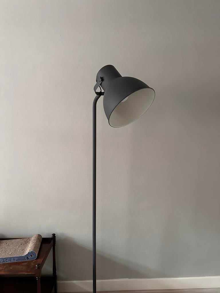 Hektar vloerlamp, Ophalen, Gebruikt, Metaal, 150 tot 200 cm