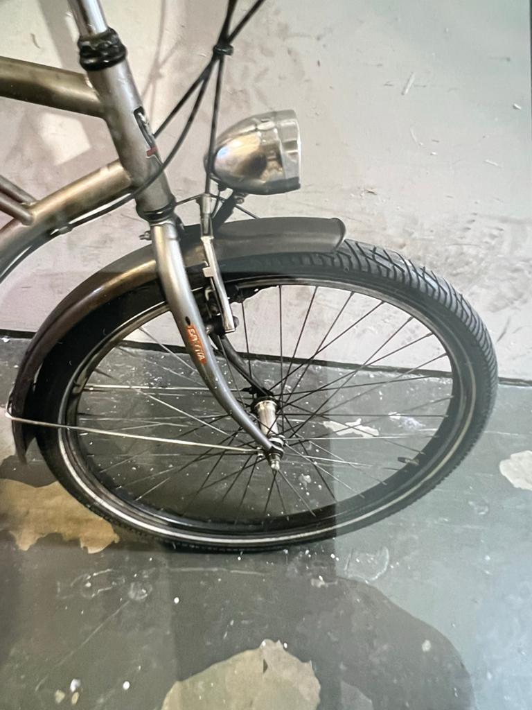 Stijlvolle Cruiser Fiets - Zo goed als nieuw, Terugtraprem, Staal, Cruiser, Ophalen of Verzenden